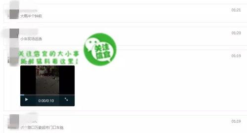 哪里可以看到爆料视频,揭秘爆料视频背后的真相与内幕  第3张